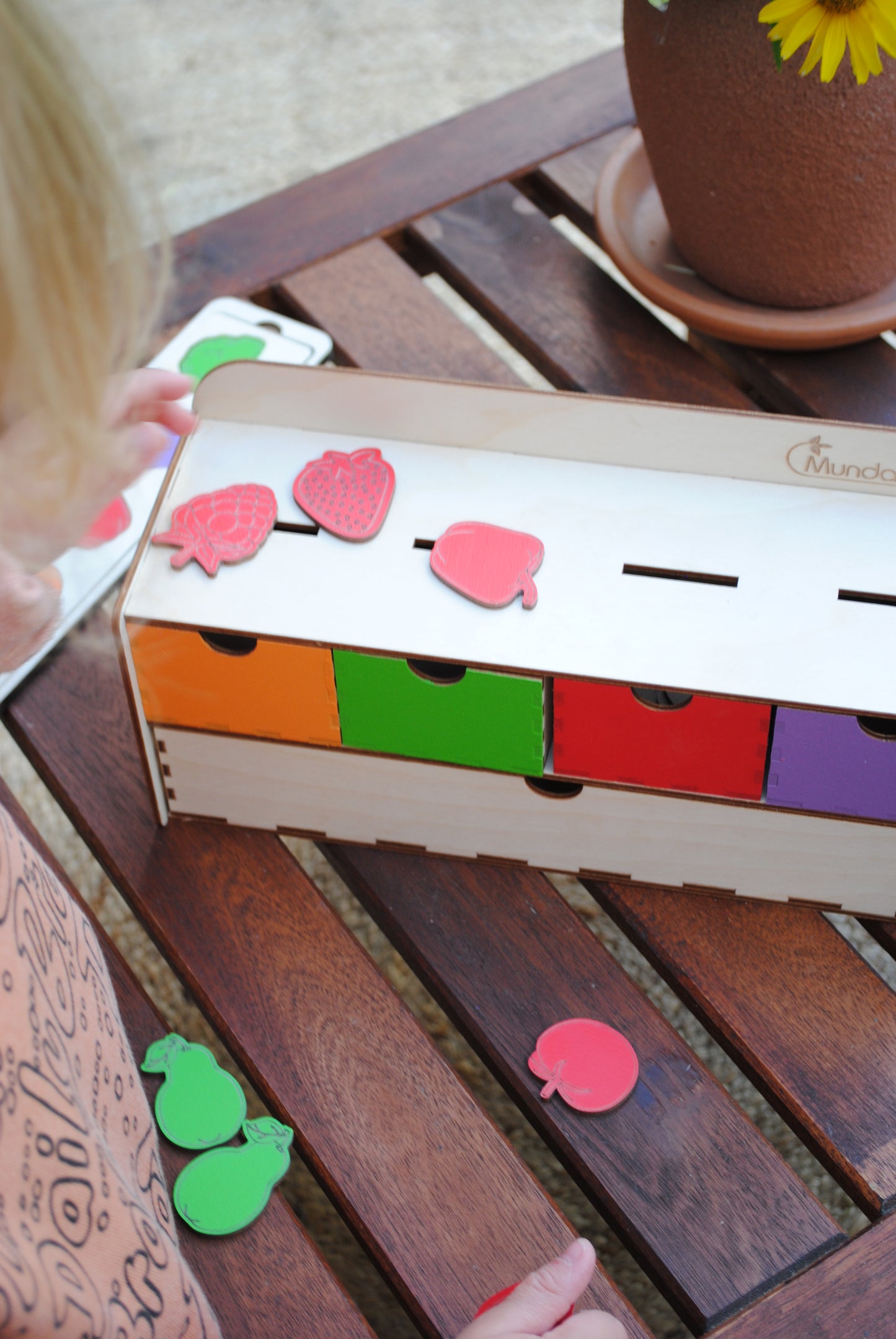 Sorteerbox Groente & Fruit