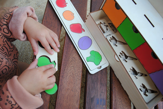 Sorteerbox Groente & Fruit